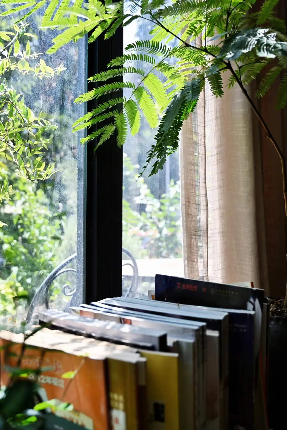 Books beside a sunlit café window filled with green leaves